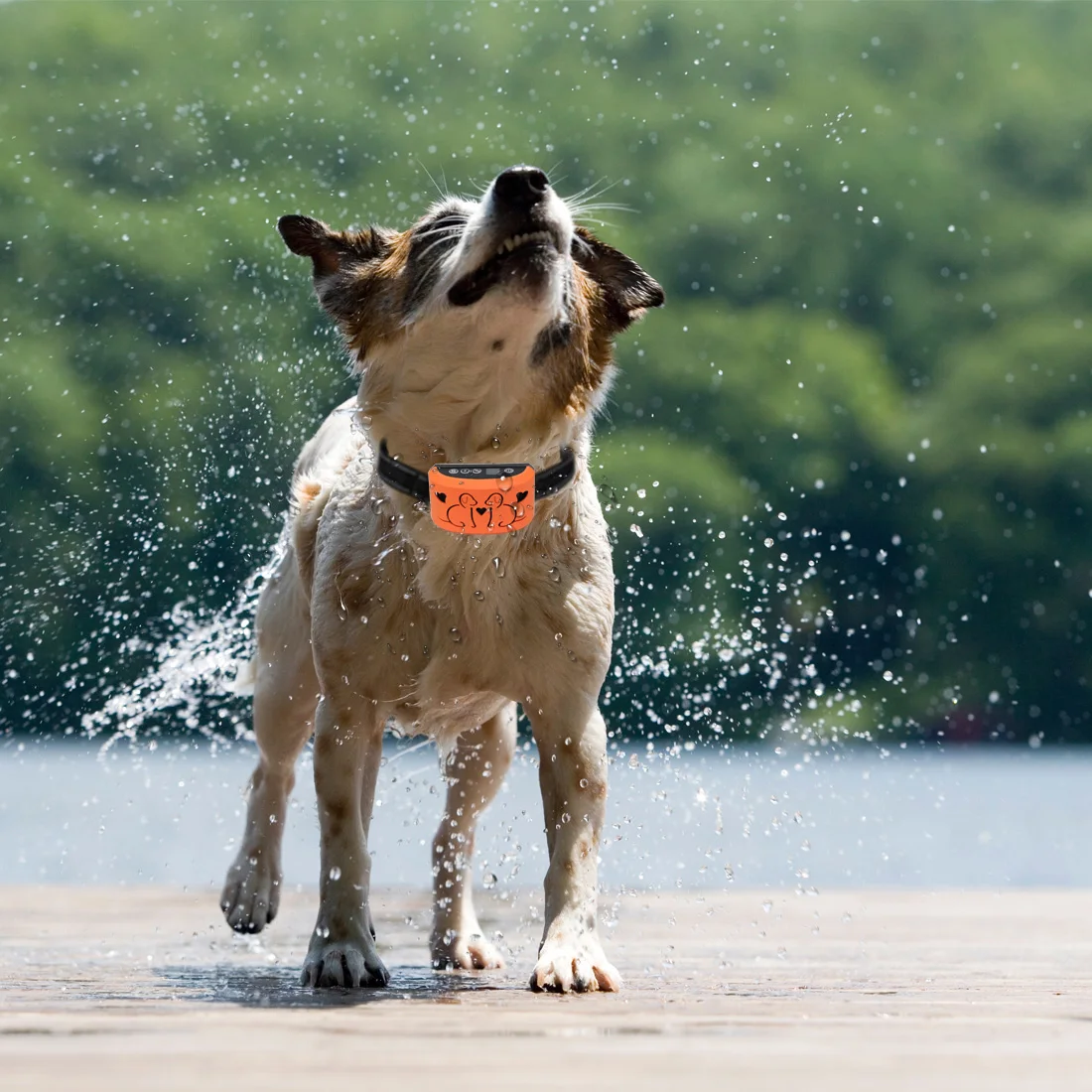 2022 Pet Accessories China Wholesale LED Digital Display Dog Anti-bark Collar