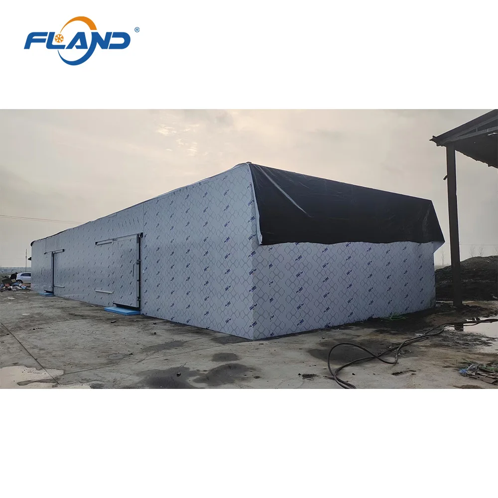 Fland Commercial Cold Room Price 20ft Container Walk In Freezer Cold Storage Unit Blast Refrigeration For Meat Fish Vegetables