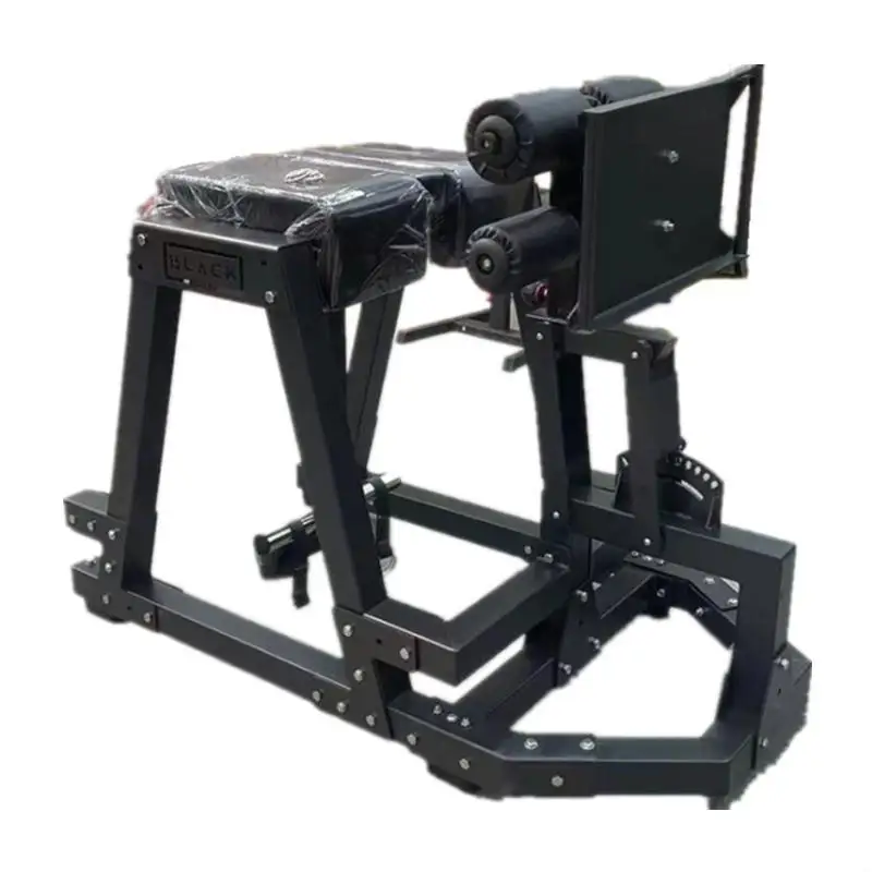 Commercial Multi-function Fitness Equipment Gym Reverse Hyper Leg Extension Exercise Bench Prone Roman Chair