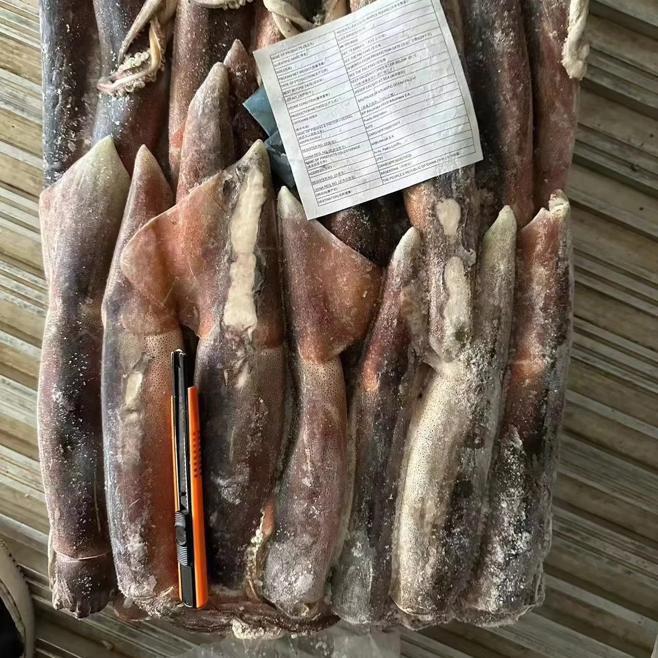 Хорошее качество черный кальмар Круглый цена круглый