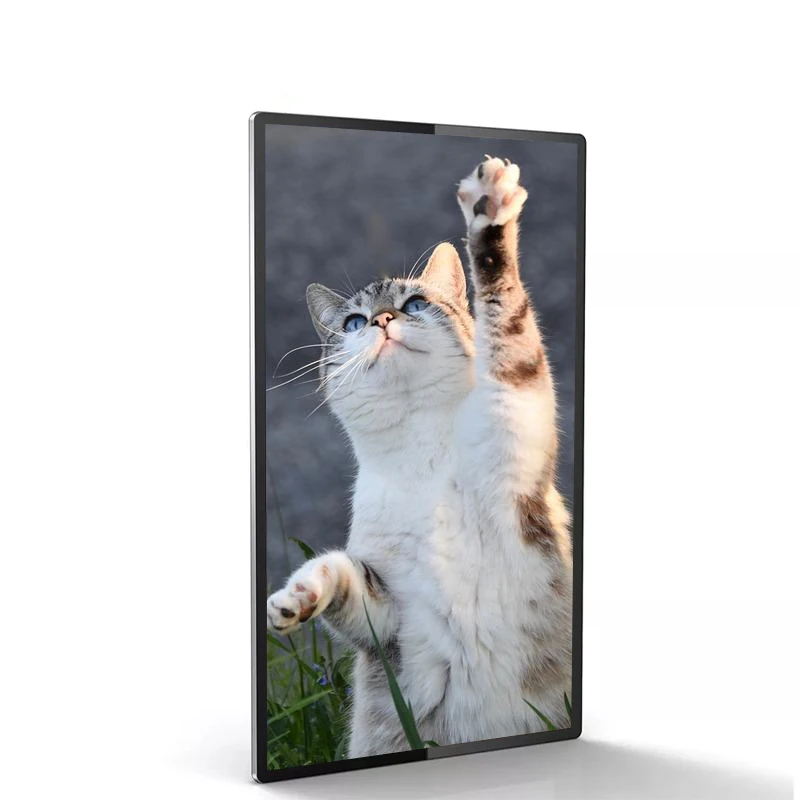 Custom Size 15.6 inch digital signage and displays liquid crystal advertising screen for Ad player