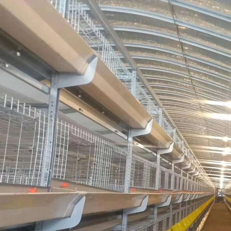Chicken Cages Equipment System Farms Battery cage chicken