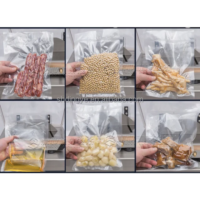 DZ400-2D Single Chamber Vacuum Packaging Machine