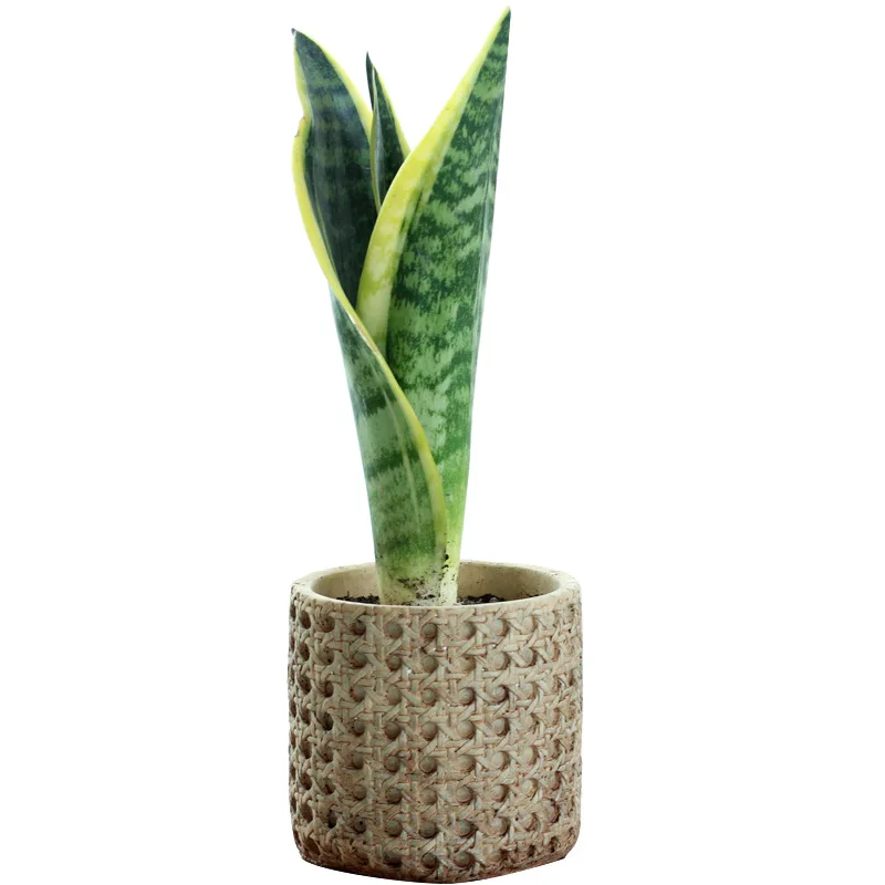 Antique Classic Traditional Chinese Bamboo Weaving Design Cement Flower Pot For Home Decor