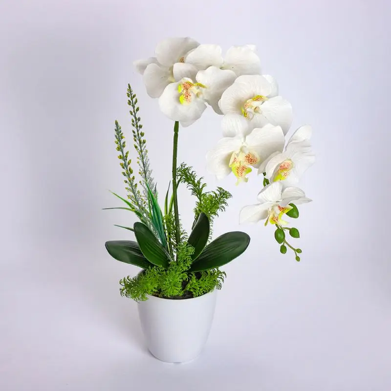 High Quality Neally Natural Orchid Phalaenopsis Flower In White silk Vase Artificial Orchids
