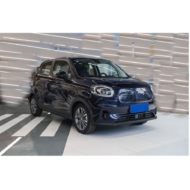 electric vehicle charger  110km/h Mileage Range 400km  electric vehicle