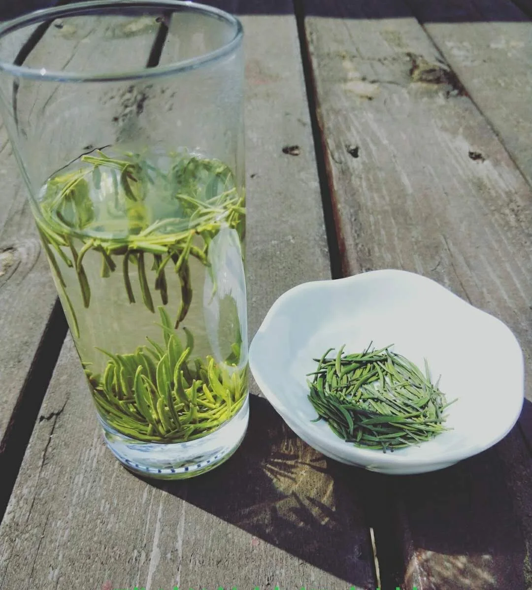 High quality organic natural Chinese special green tea