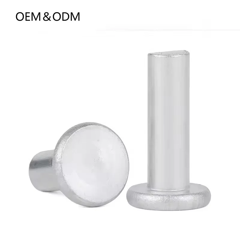 Professional Customization Non-Standard Stainless Steel 304 Solid Metal Rivets And Round Head Rivets