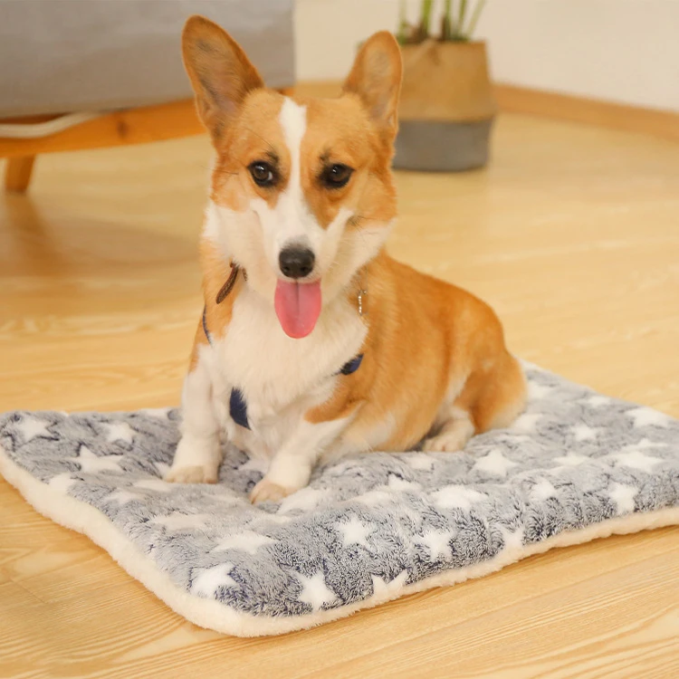 Wholesale comfortable various pattern multicolor winter super soft pet warm fleece dog bed