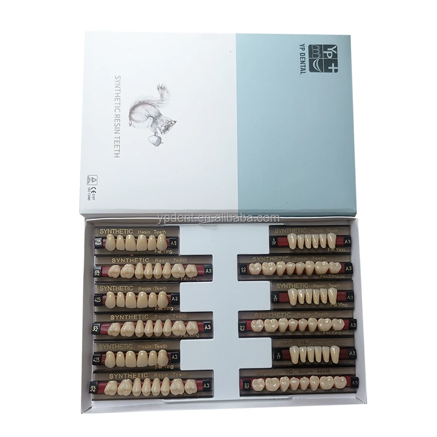 YP 2  Layer Acrylic Resin Teeth Full Set False Teeth Dentures Dental Resin Teeth