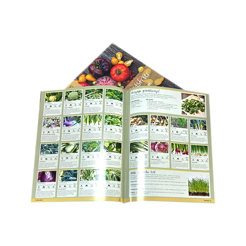 Printing Softcover Publishing Booklet Magazine Catalogue Photo Cook Paper A4 B5 A5 Recipe Book Journal Book
