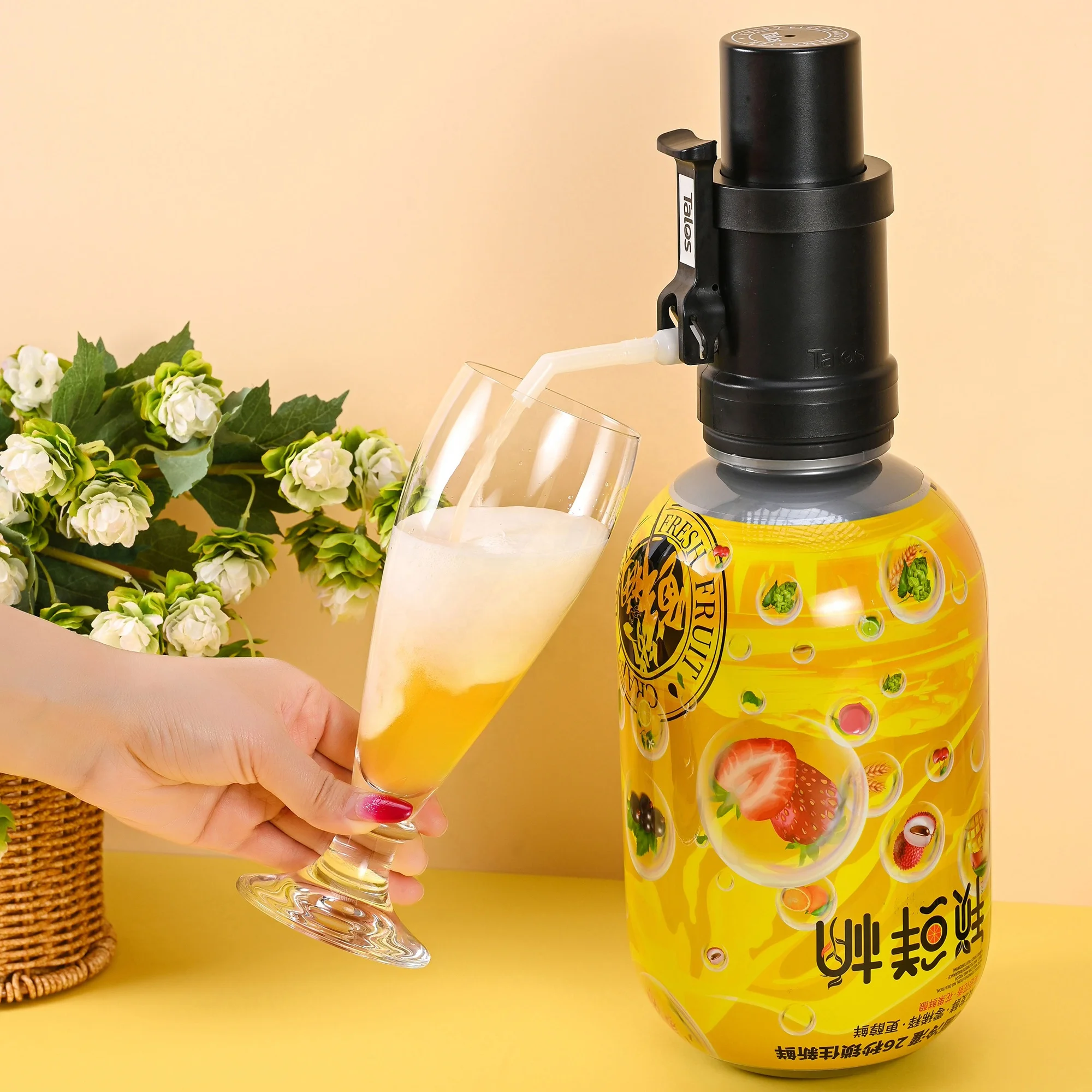 OEM 20l 30l 25l 50l ABS+PET+EVOH eco portable empty plastic draft beer keg prices