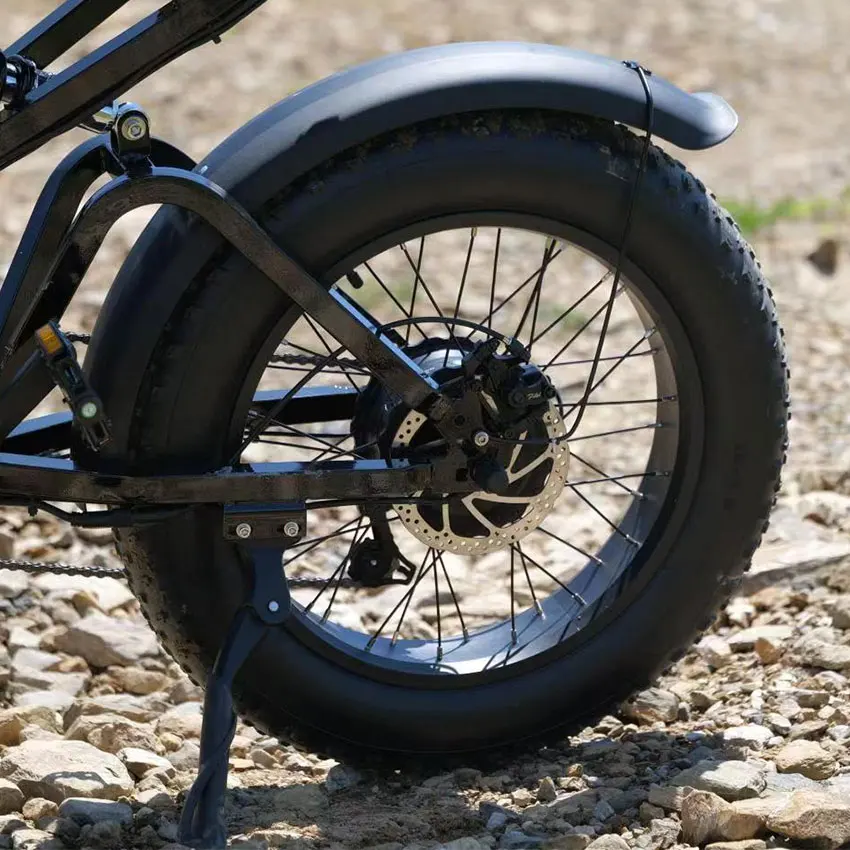 Factory Wholesale Fatbike 750W Electric Bike 20Inch*4.0 Fat Tire Electric Bike Full Suspension Electric Hybrid Bike