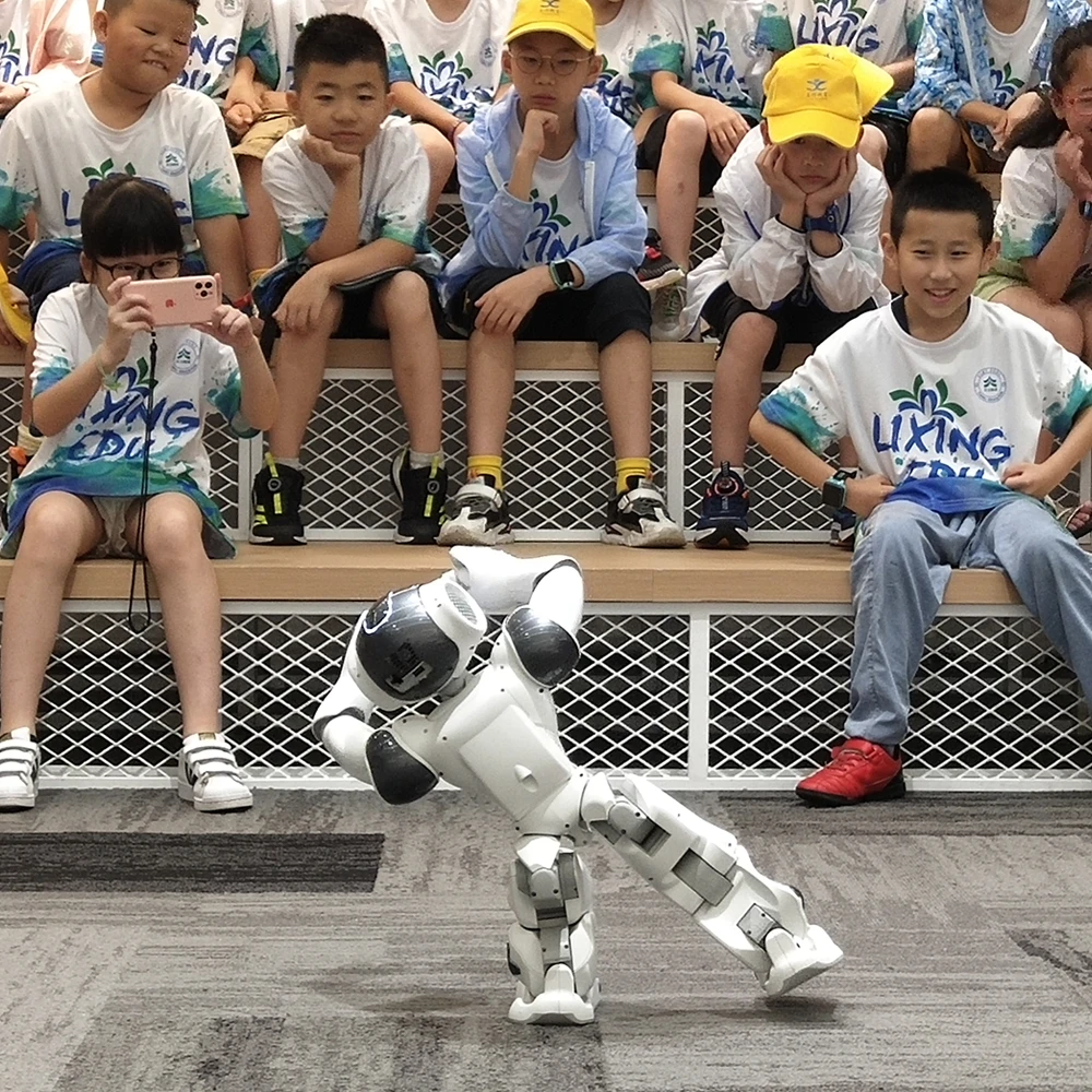 SoftBank Smart Robot Toys Humanoid Programmable Artificial Intelligent Facial Recognition Educational Toy Robots NAO