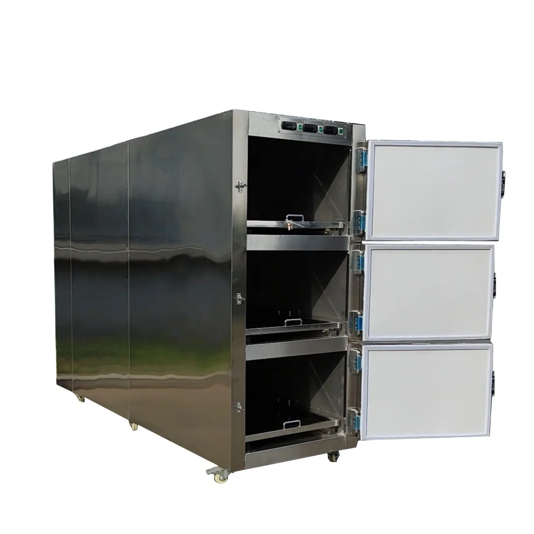 Customizable hospital refrigeration equipment 3 bodies morgue freezer with moving trays