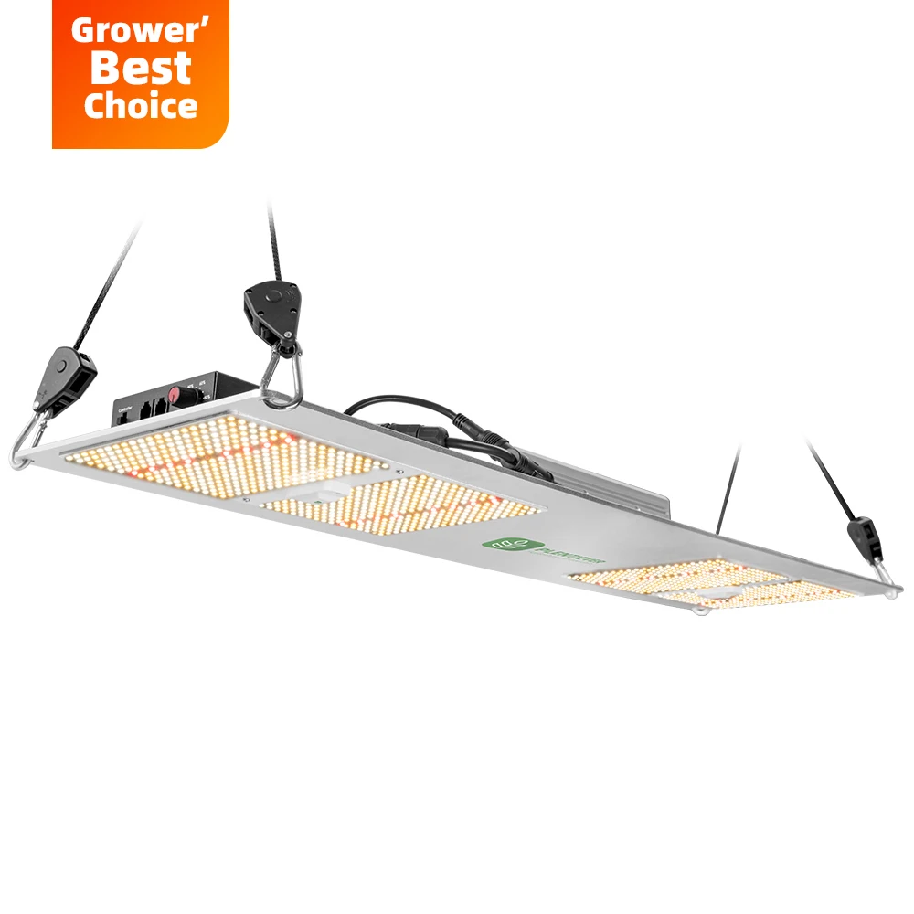 Новая акция Oslam Замена Lm301B 240 Led цветущего света производитель из Китая