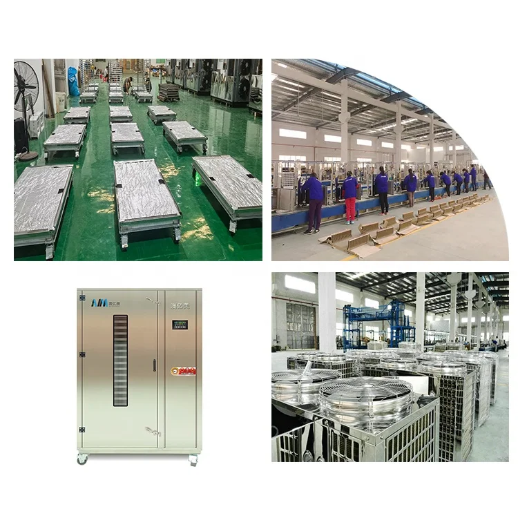 Pepper Ginger Orange Tea Industrial Vegetable Mango Dry Fruit Dehydrate Large Commercial Dehydrator 220V Food Drying Oven