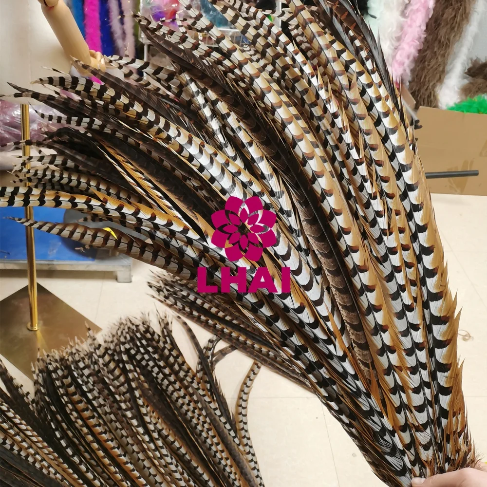 Natural Feathers Wholesale High Quality Long Reeves Pheasant Feathers for Carnival Costumes