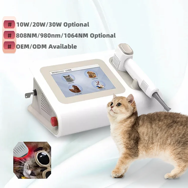 Новейший Класс Iv лазерный терапевтический диод 980 нм ветеринарный низкоуровневый лечение животных и домашних без побочных эффектов