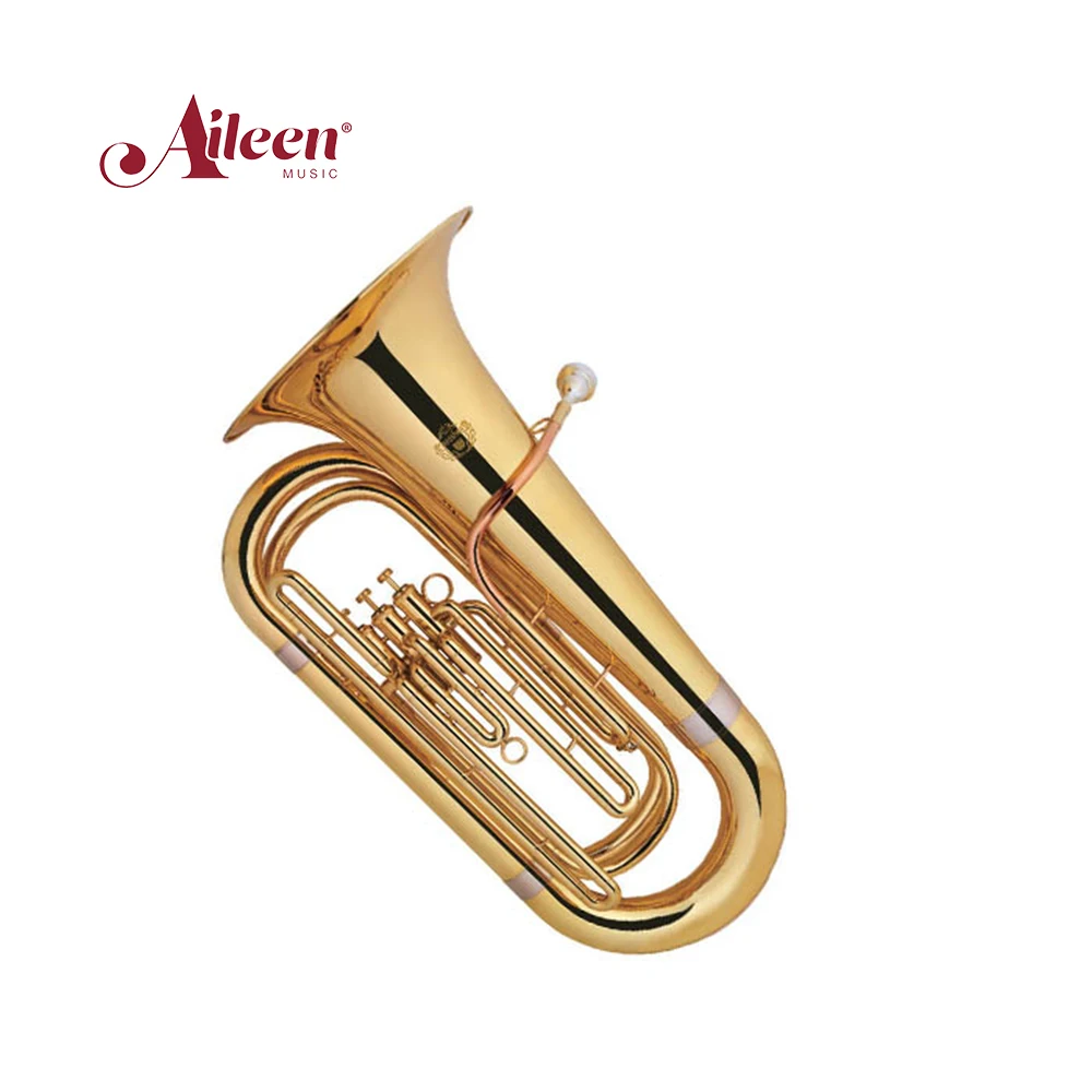 Solo Tuba 3/4 Bb поршень из нержавеющей стали для подросткового инструмента (TU9931G)