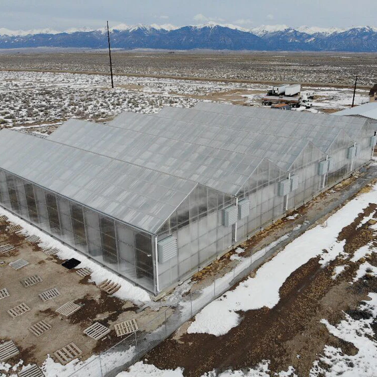 Container Multi span Film Mushroom Plastic Multi-Span Commercial Farm Equipment Polyhouse Agriculture Greenhouse