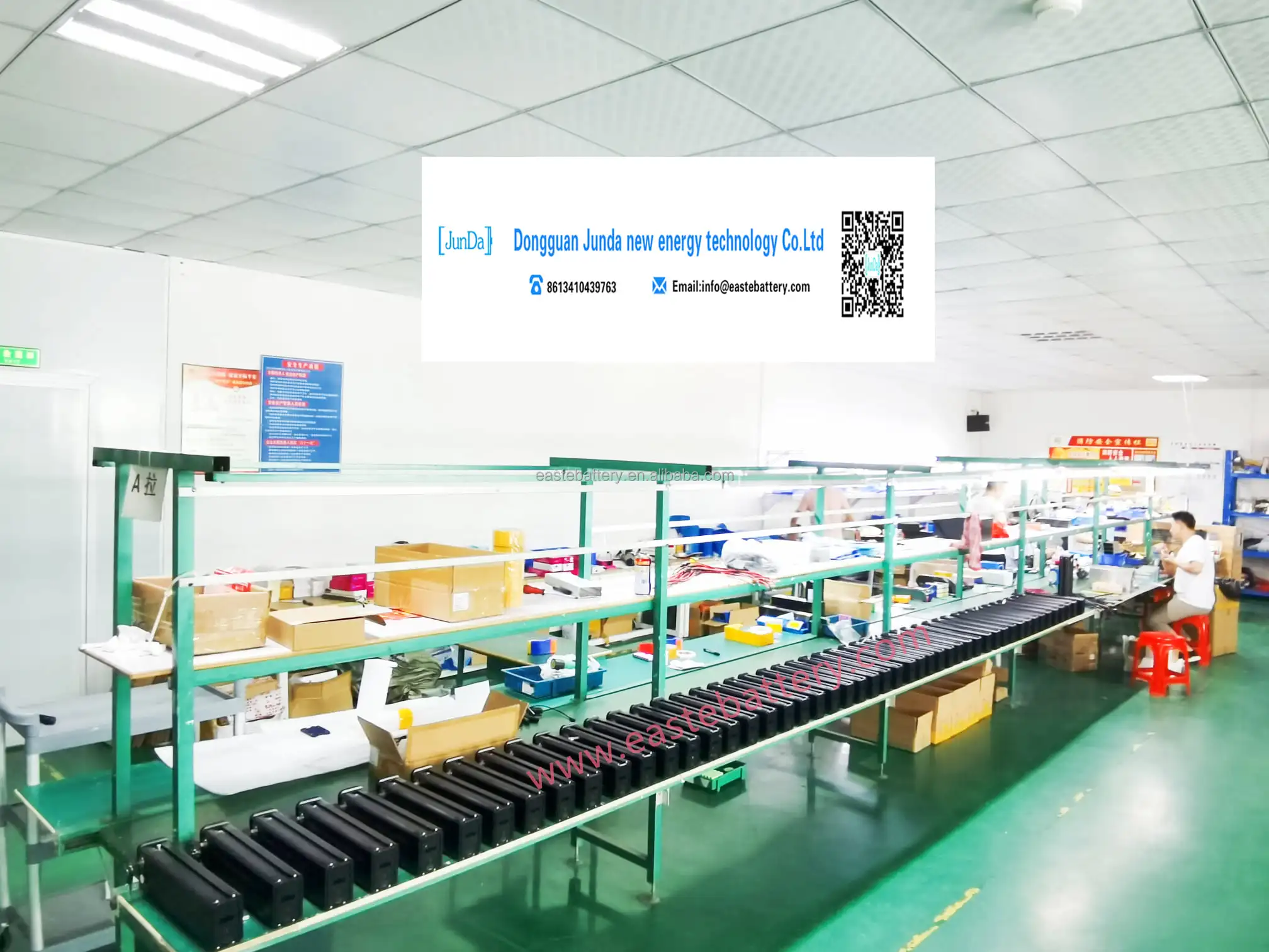 silver fish battery (2).jpg