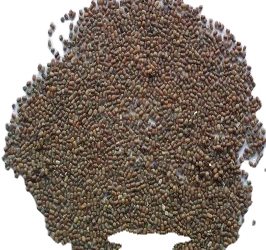 Семена Индиго индигоферы китайского, для продажи