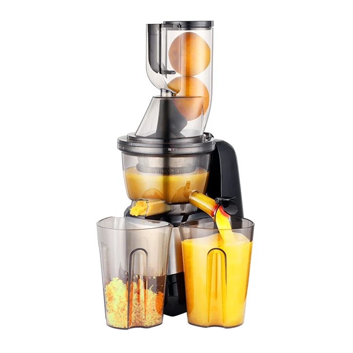 Electric Stainless Steel Filter Screen Multi-Function Portable Cold Press Slow Juicer with Mixed Filter Custom Plastic Household