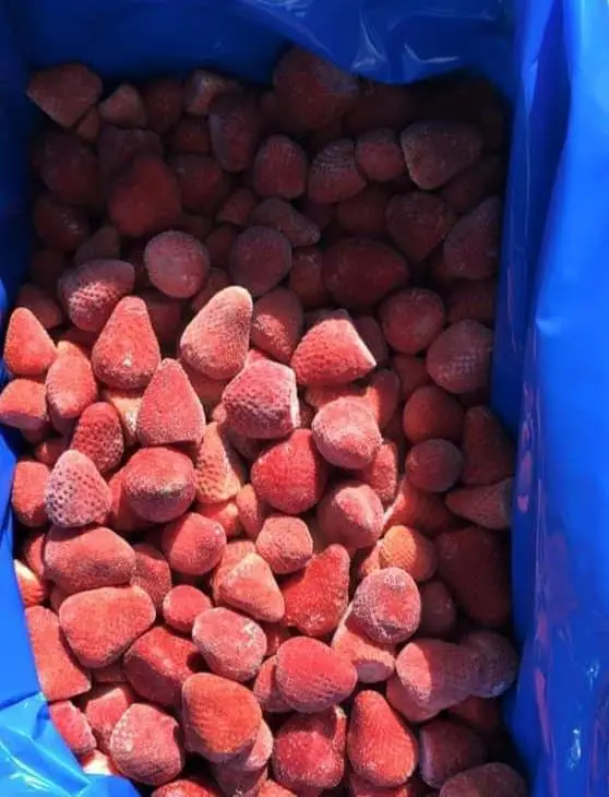Новый сезон, экспорт замороженной клубники IQF, замороженные красные клубники оптом