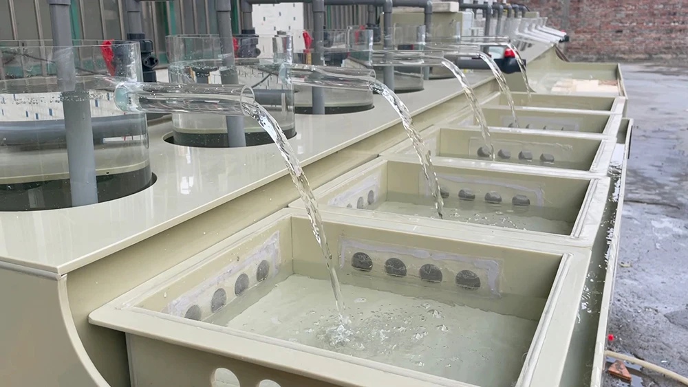 Incubator for tilapia and catfish auqaculture equipment