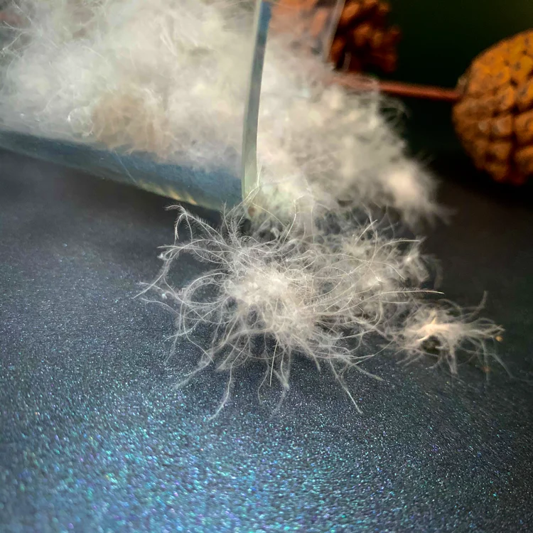 
95% Pure White Big Washed Muscovy Duck Feather Down for Duvet American Standard 