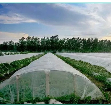 Agriculture 5 years usage insect repellent net plastic agricultural insect netting anti insect net