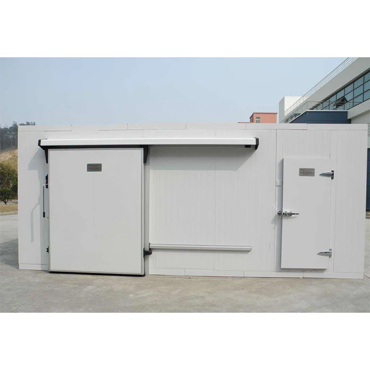 Frozen Fish Meat Freezer Room Negative Freezing Room Cold Room