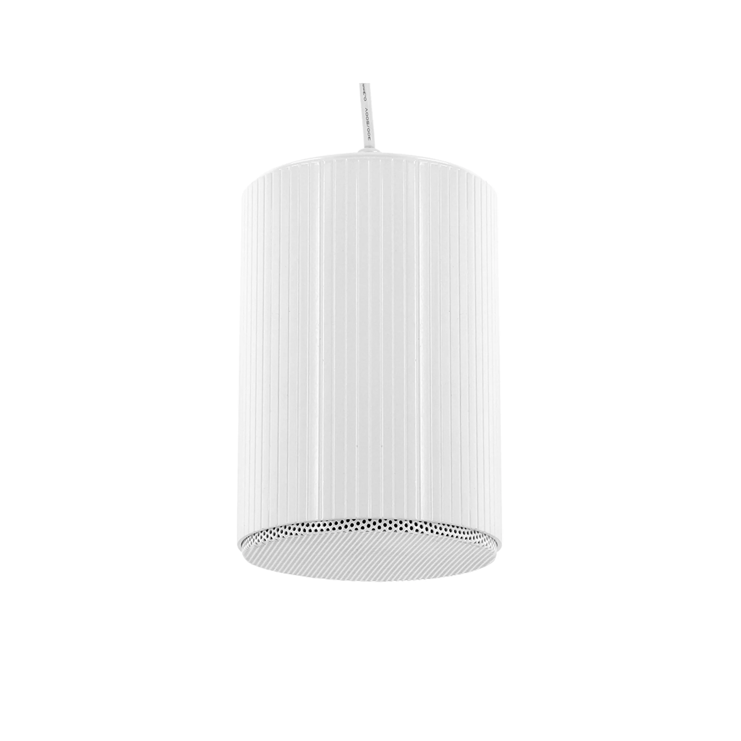 Professional audio sound speaker music play BGM public address system indoor outdoor waterproof Pendant Speaker shopping mall