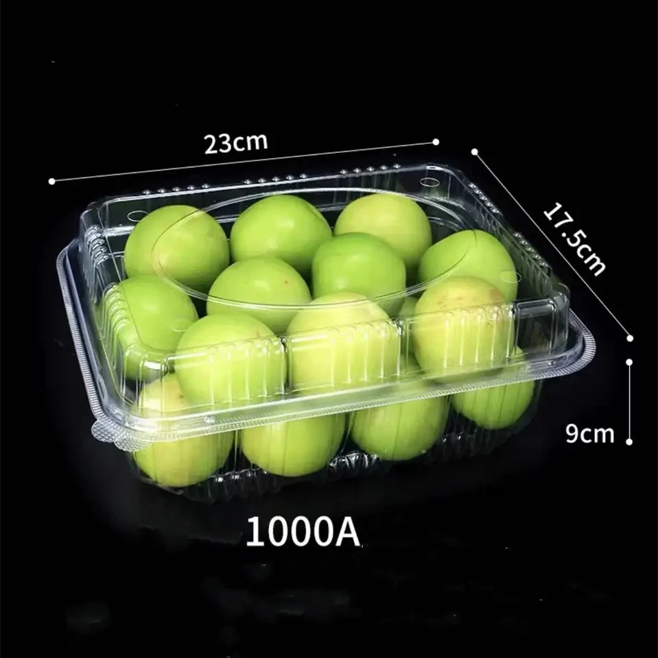 Custom Food Packaging Boxes Food Grade PET Disposable Plastic Fruit Container Salad Boxes With Air Hole