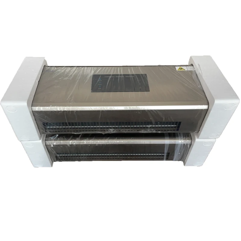 Luxury Style Wall Mounted Plasma Air Purifier with negative ion purification ozone 500mg/h Anion purifier with remote control