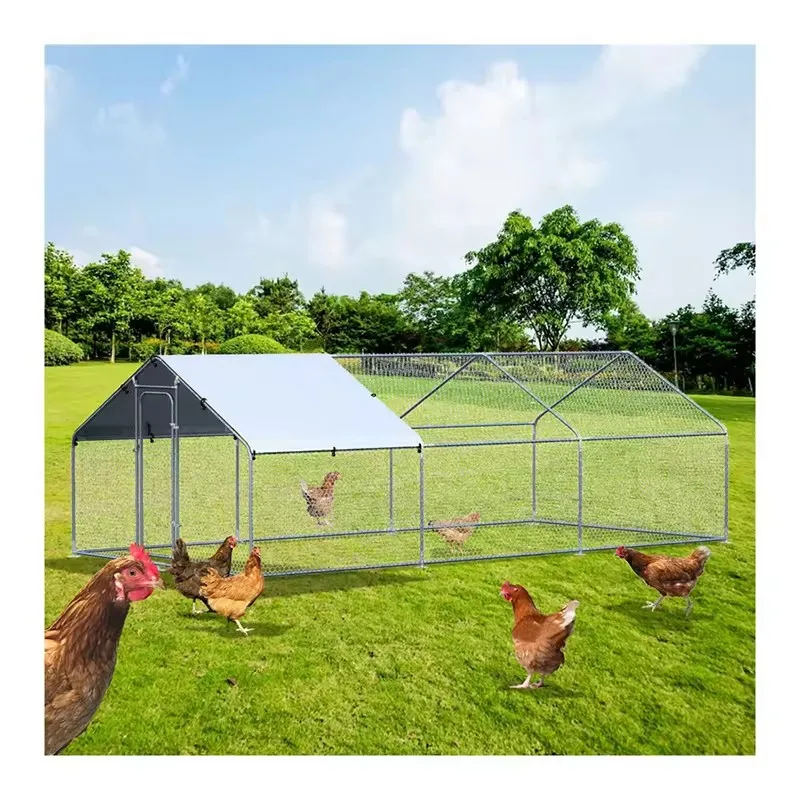 Chicken Coop with Efficient Waste Management Systems