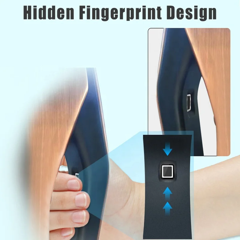 
Electric Magnetic Lock Face Recognition Access Control System Smart Door Lock Face Recognition home Door Lock 