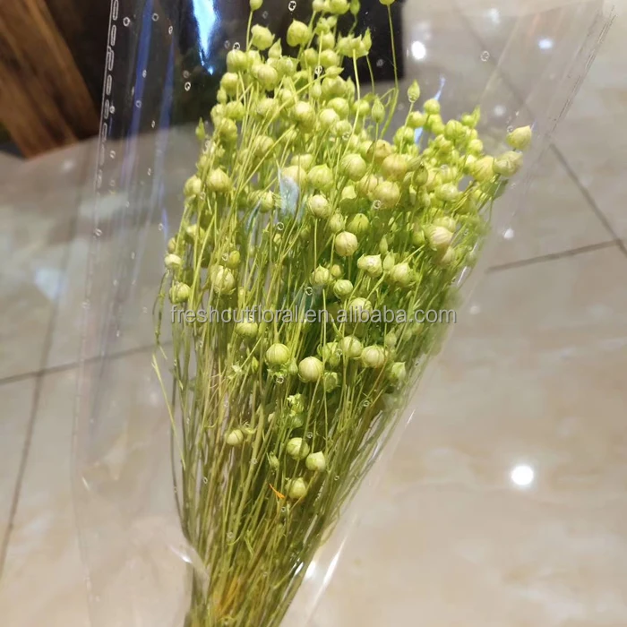 Amazona Yunnan Wholesale Dried Flowers Real Preserved Long Stem Gold Sliver Jequirity Bean Riches Beans As Decoration Flower