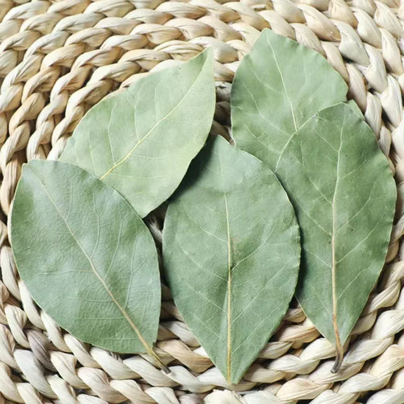 Top quality cook spice and Wholesale product   laurel leaves