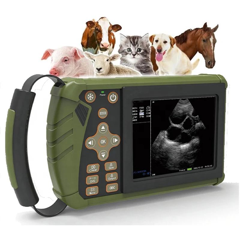 Easy Scan Portable Bovine Machine Fetal Sexing In Cows On Used Training Canada Videos Aging With Veterinary Ultrasound Machines