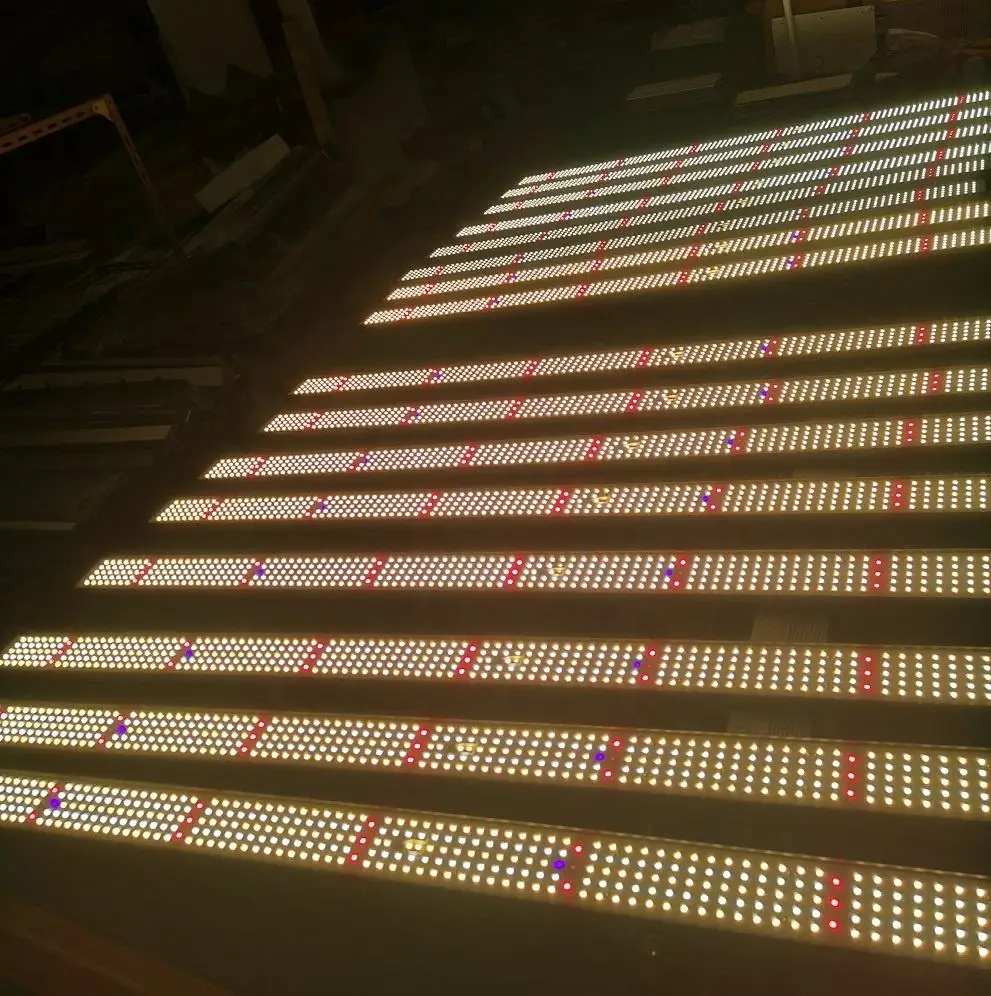 Full Spectrum Wholesale Commercial Greenhouse Led Grow Light Helps Plant Seeds Break Through Soil