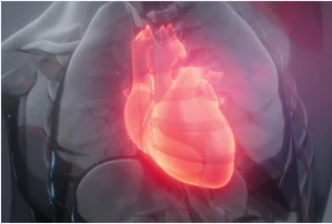 Анализатор иммунофермента DSC автоматический биохимический анализатор LIBS