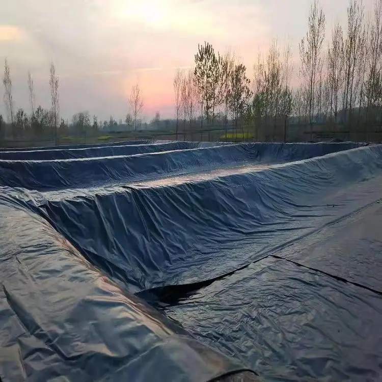 ASTM 0.5mm 0.75mm 1.0mm 1.5mm 2.0mm HDPE Liner Sheet Geomembrane for Landfill Mining Lagoon