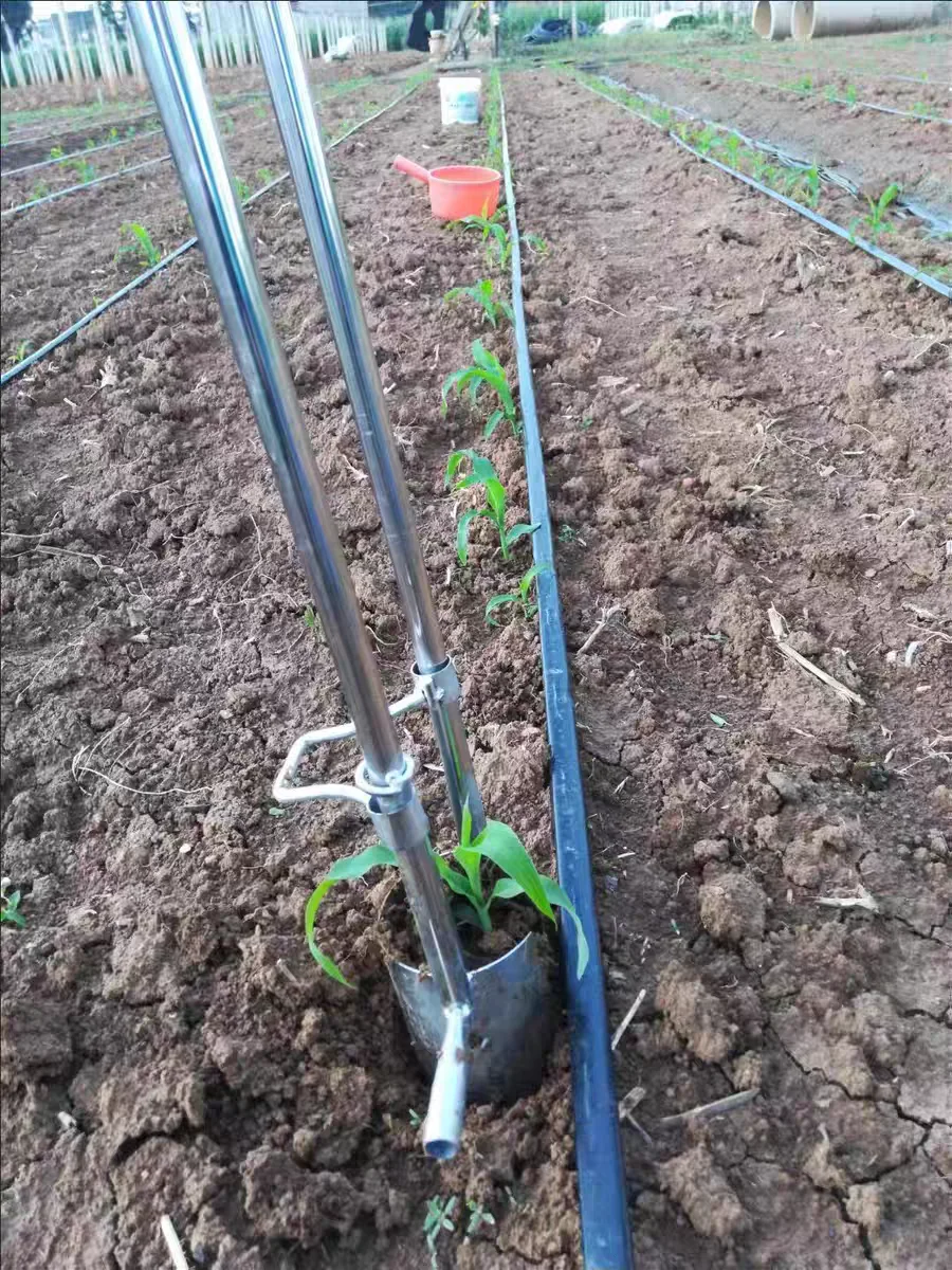 transplant seedlings manual seeding trans planter stainless small seeding nursery