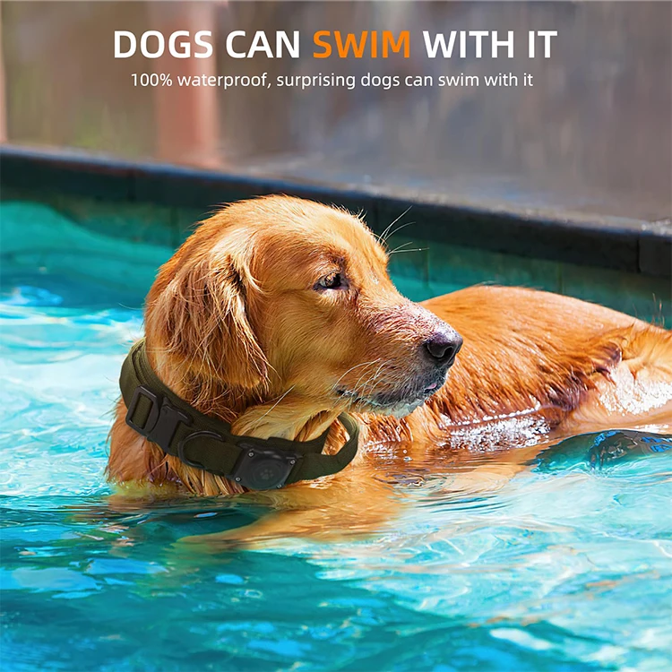 QQgift custom luxury Tactical Dog Collar and Leash Set with Quick Release Buckle Adjustable Training Dog Collar with Handle