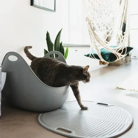 Large Capacity Cat Litter Box Semi-closed Plastic Sand Box for Cats Pet Toilet Anti Splash Cat Tray Cleaning Bath Basin Supplies