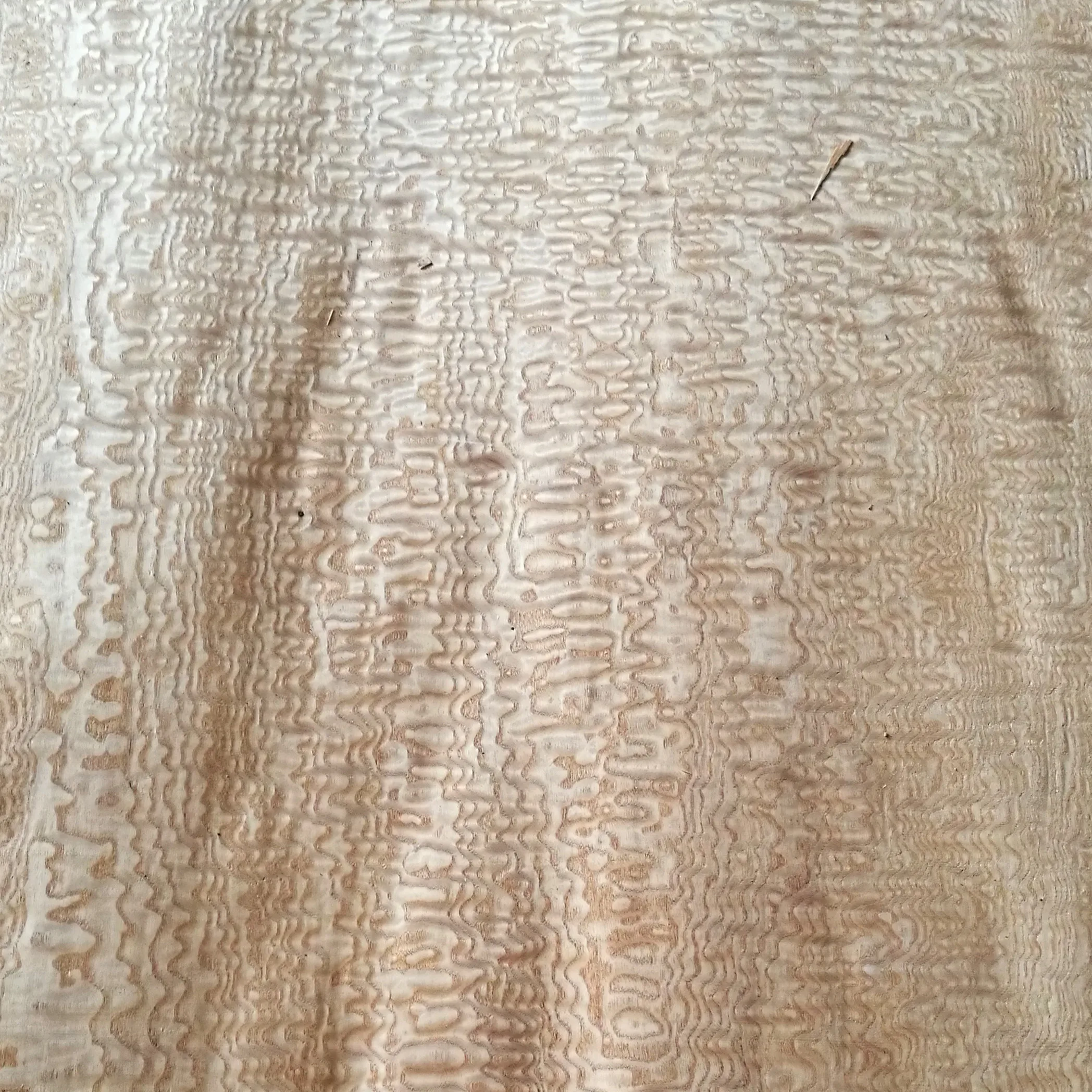 Professional Manufacture  Direct Supply Tamo Ash Veneer & Chinese Ash Veneer