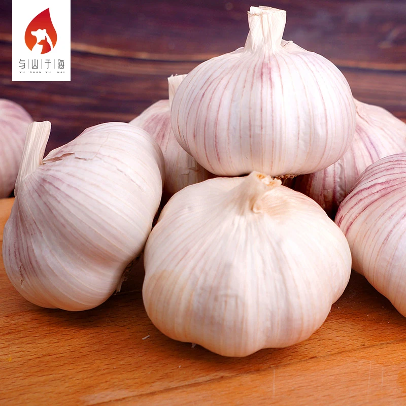 High Quality Health Food Garlic Wholesale Market Price Fresh Garlic