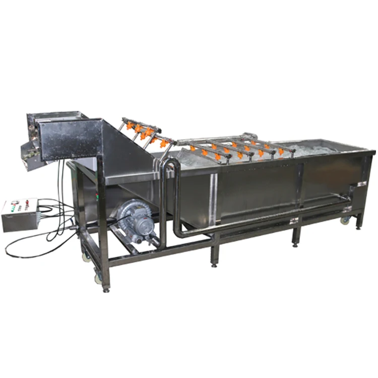Industrial Grape Cleaning And Washing Machine For Fruit